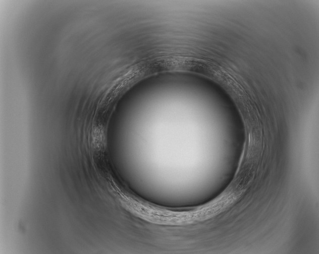 X0000113220048200909171604