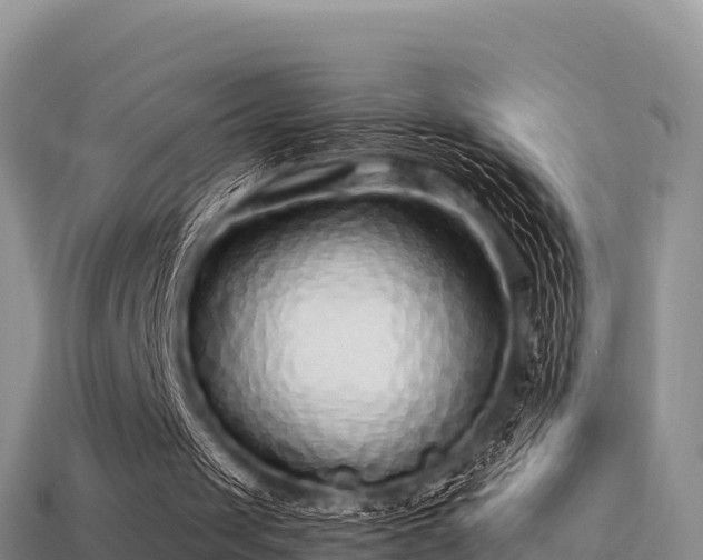 X0000113220049200909171603