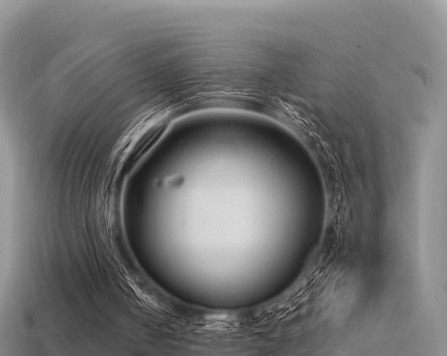 X0000113220050200909171603