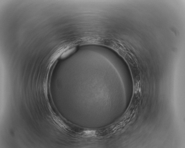 X0000113220052200909171603