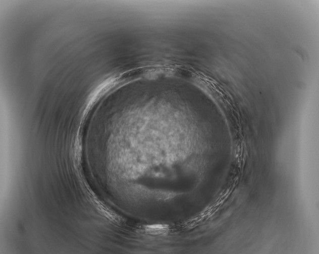 X0000113220053200909171603