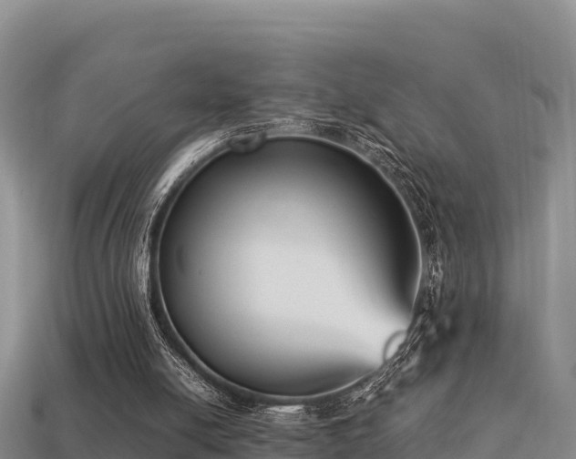 X0000113220054200909171603