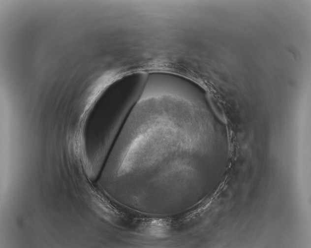 X0000113220056200909171603