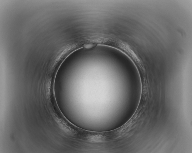 X0000113220058200909171603