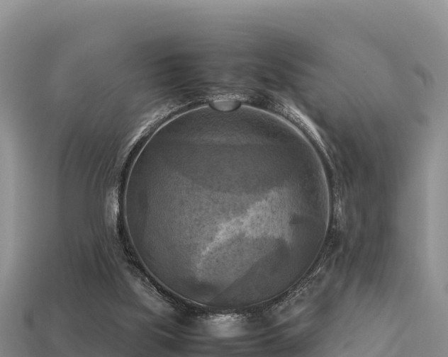 X0000113220059200909171603