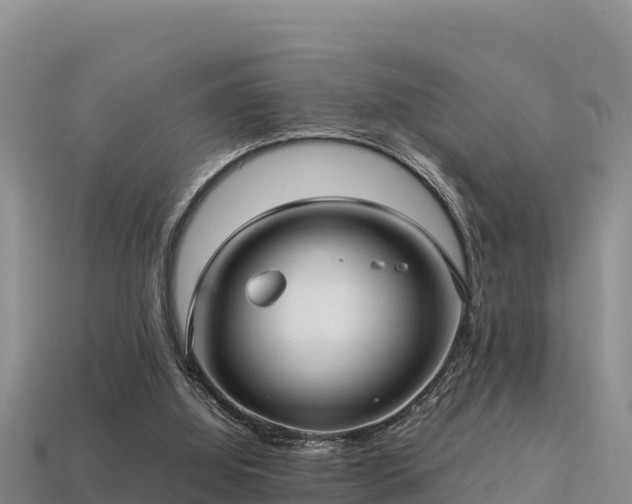 X0000113220060200909171603