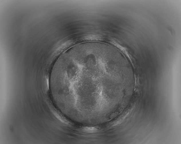 X0000113220061200909171603