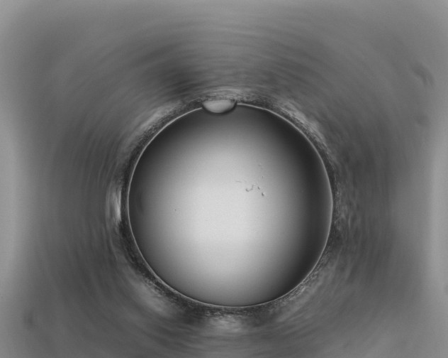 X0000113220062200909171603