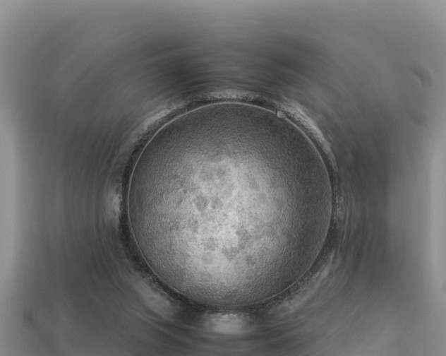 X0000113220063200909171603