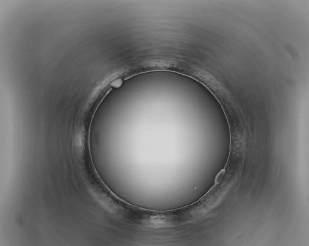 X0000113220064200909171603