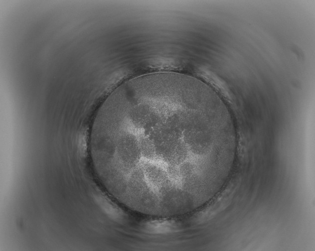 X0000113220065200909171603