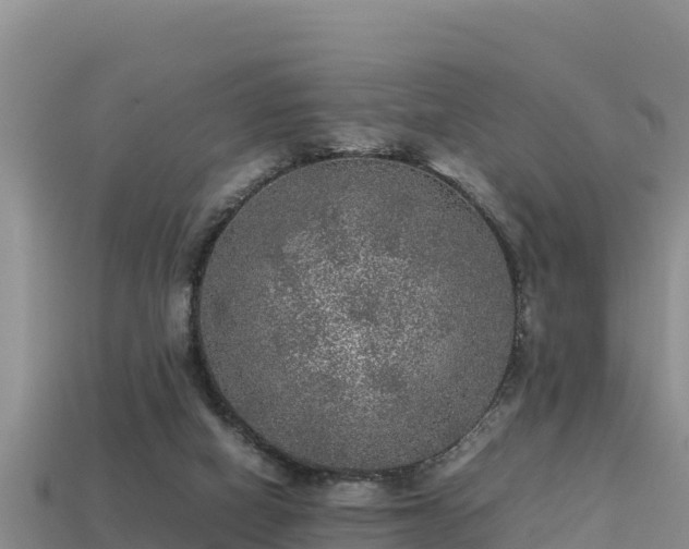 X0000113220066200909171603