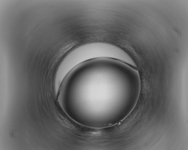 X0000113220068200909171603