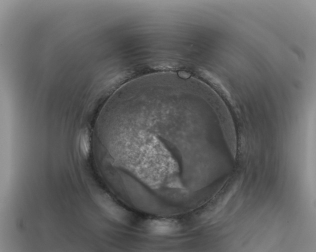 X0000113220069200909171603