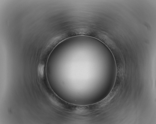 X0000113220070200909171603