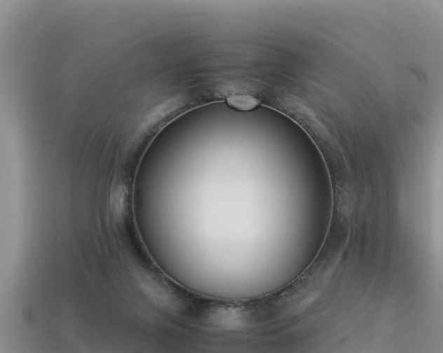 X0000113220071200909171603