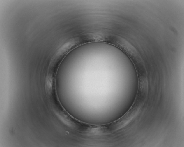 X0000113220072200909171603