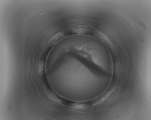 X0000113220073200909171604