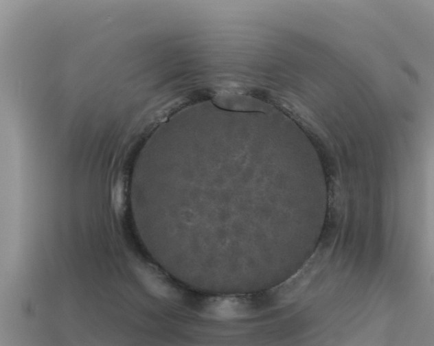 X0000113220074200909171604