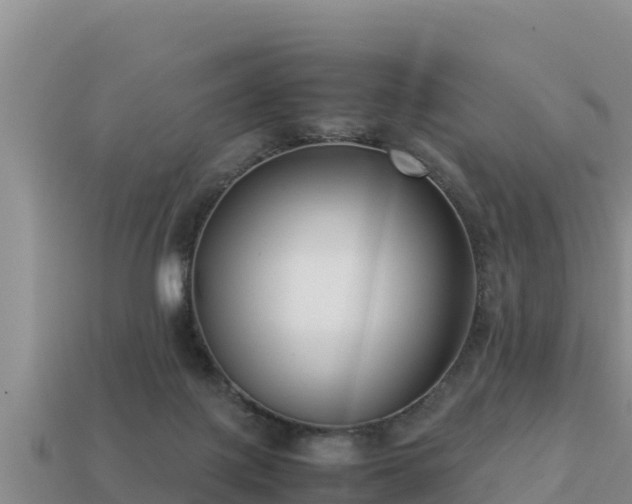 X0000113220075200909171604