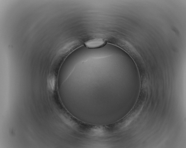 X0000113220076200909171604