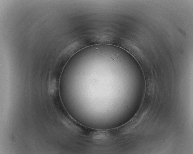 X0000113220077200909171604