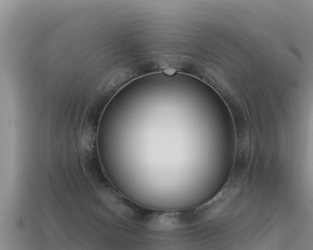 X0000113220078200909171604