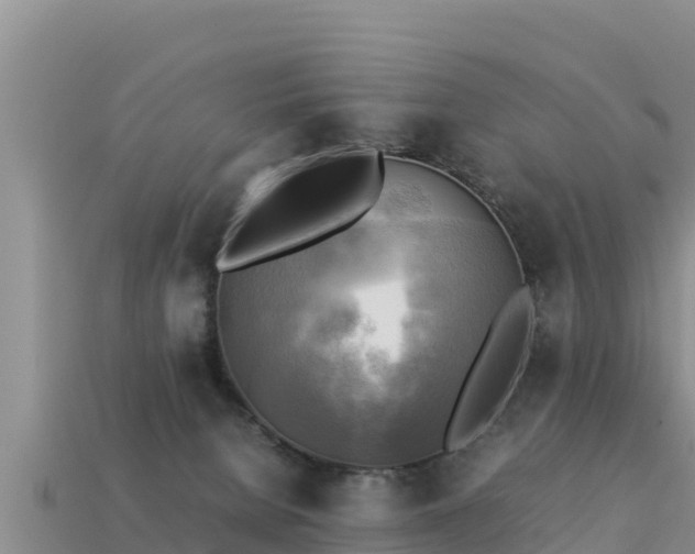 X0000113220080200909171604