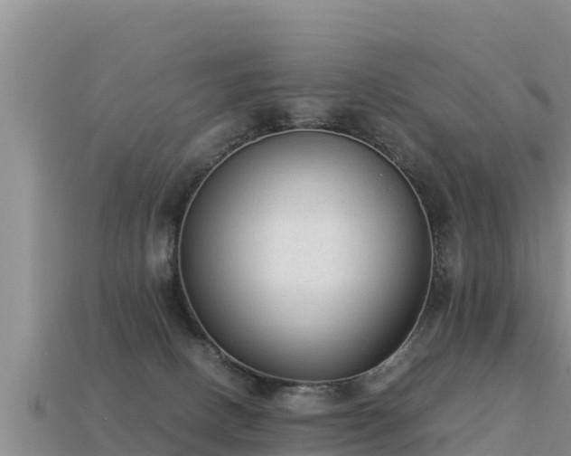 X0000113220082200909171604