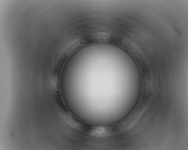 X0000113220083200909171604