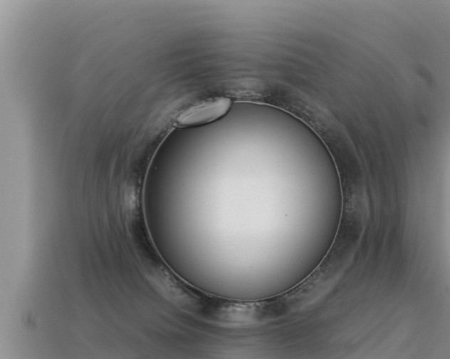 X0000113220084200909171604