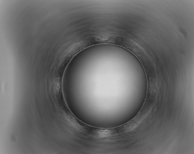 X0000113220085200909171604