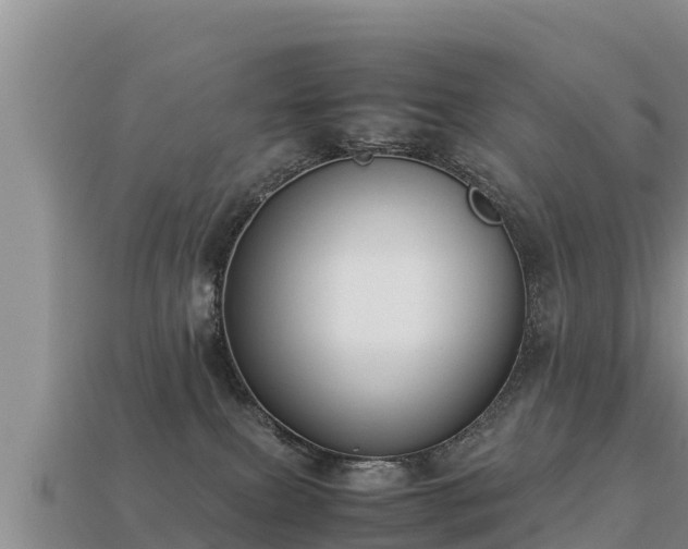 X0000113220087200909171604