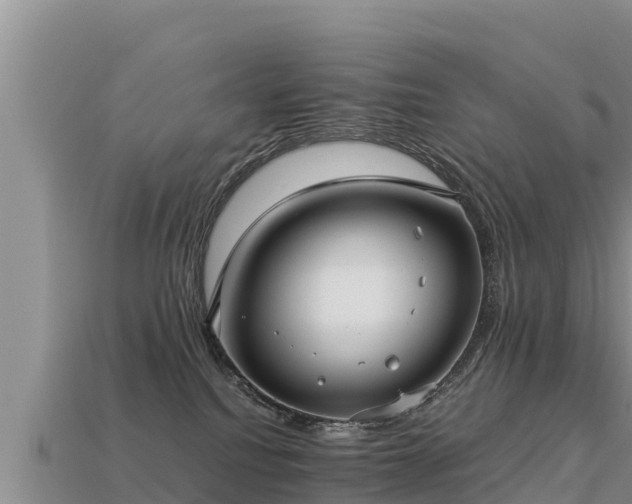 X0000113220088200909171604