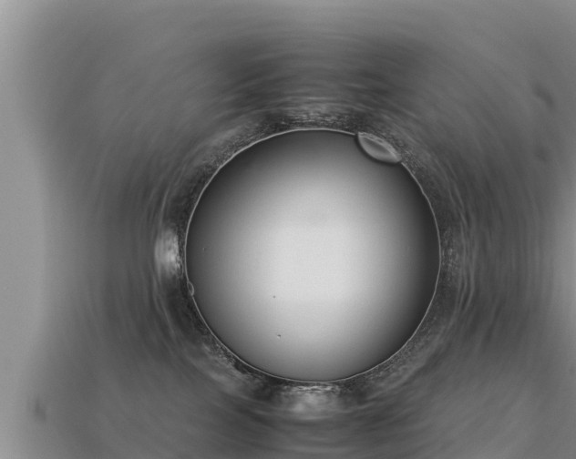 X0000113220089200909171604