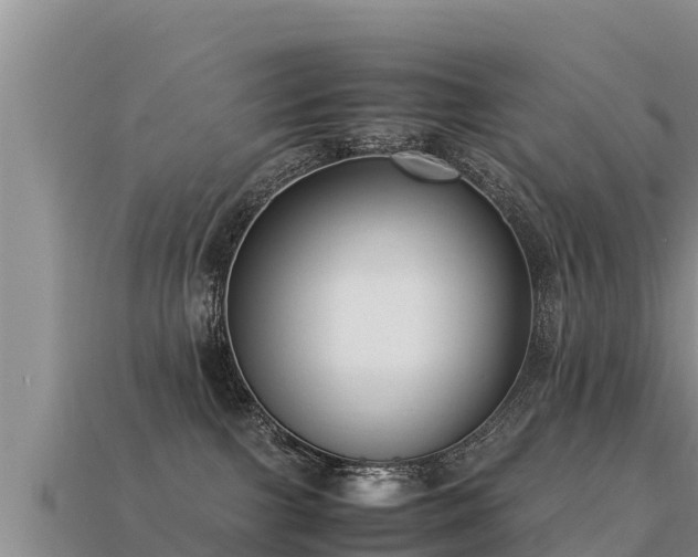 X0000113220091200909171604