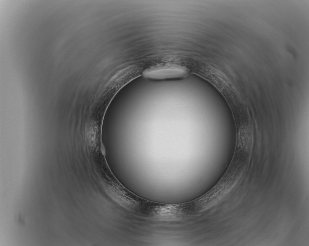 X0000113220092200909171604