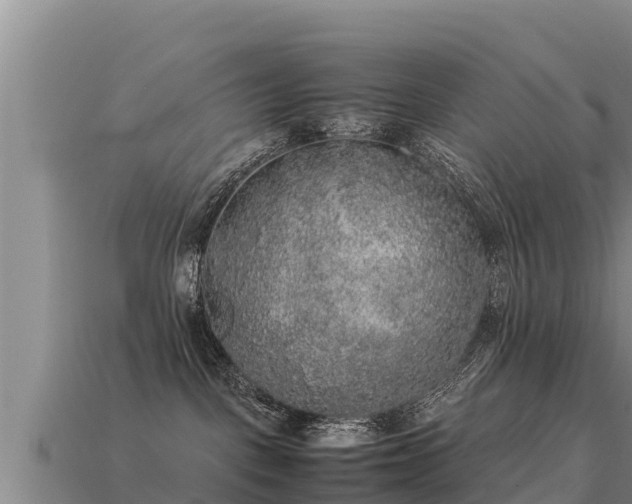 X0000113220093200909171604