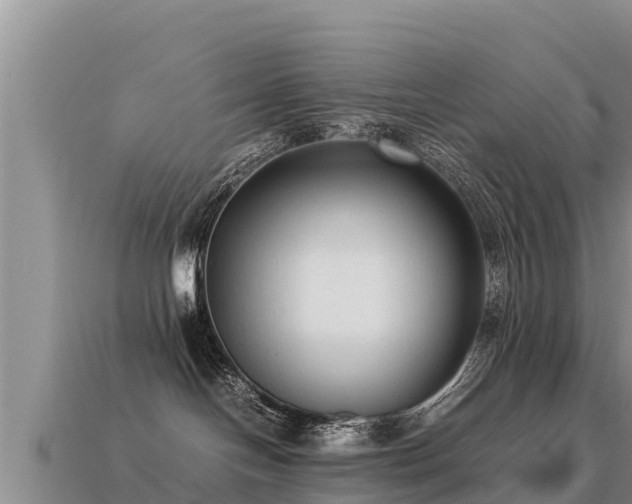 X0000113220094200909171604