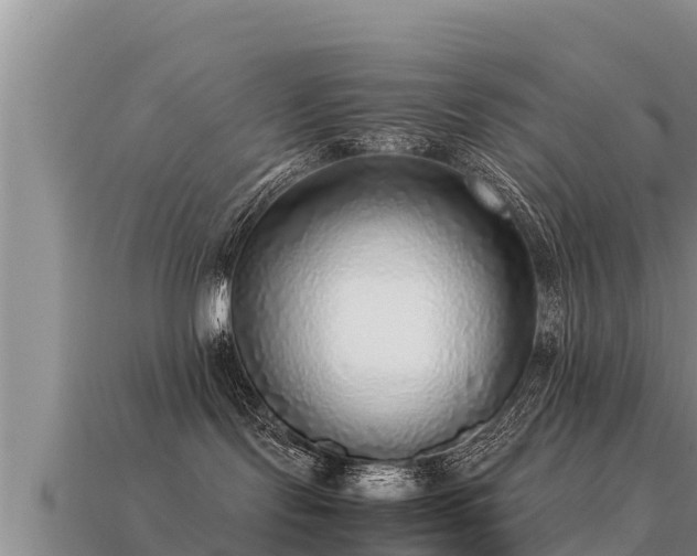 X0000113220095200909171604