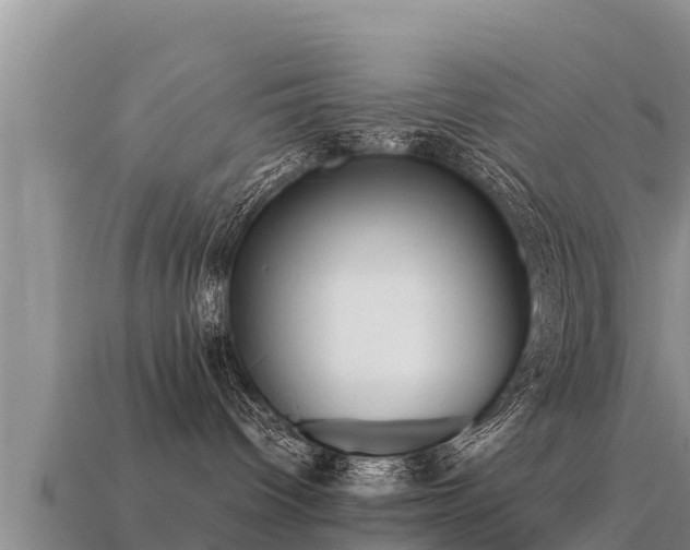 X0000113220096200909171604