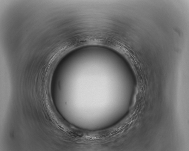 X0000113220097200909171603