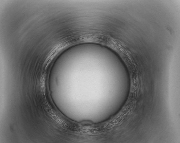 X0000113220098200909171603