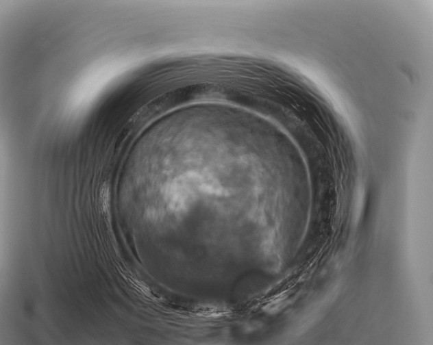 X0000113220099200909171603