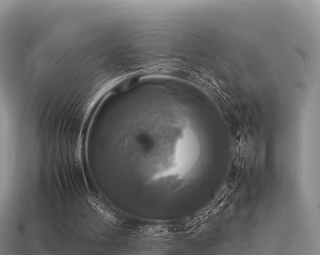 X0000113220100200909171603