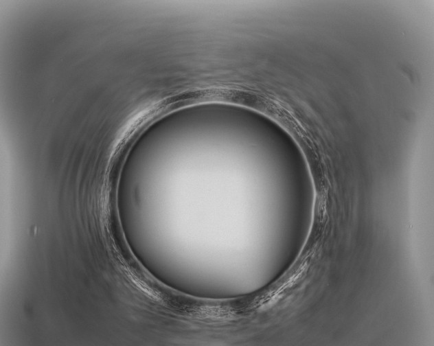 X0000113220101200909171603