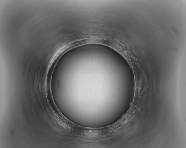 X0000113220102200909171603