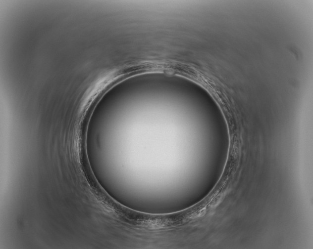 X0000113220103200909171603