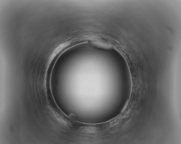 X0000113220104200909171603