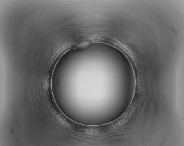 X0000113220105200909171603